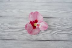 Květ z jedlého papíru - růžová orchidej - 3 ks