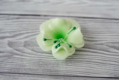 Květ z modelovací  hmoty - magnolie - zelená
