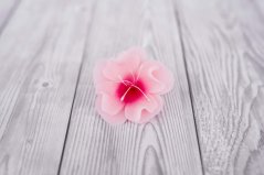 Květ z modelovací hmoty - magnolie - světlá růžová