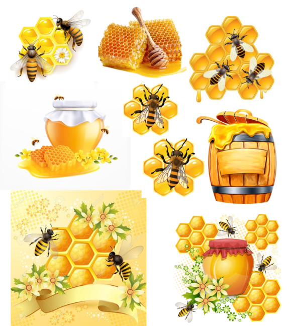 Jedlé obrázky - Včelařství