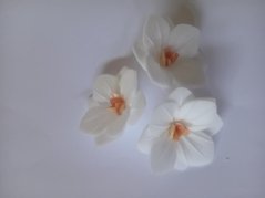 Květ z jedlého papíru - bílý  se středem  3 ks