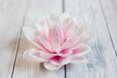 Květ z jedlého papíru - dahlia bílo-růžová - 12 cm
