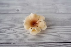 Květ z modelovací hmoty - magnolie - béžová 1 Ks