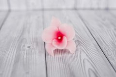 Květ z modelovací  hmoty - orchidej -  světle růžová