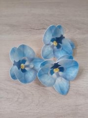 Květ z jedlého papíru - modrá orchidej - 3 ks
