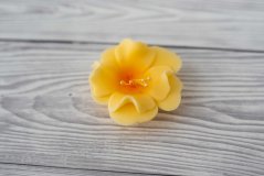Květ z modelovací hmoty - magnolie - medová 1 Ks