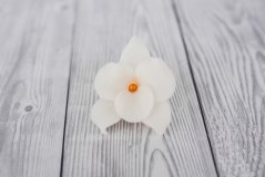 Květ z modelovací  hmoty - orchidej - bílá