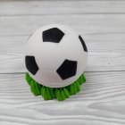 Fotbal