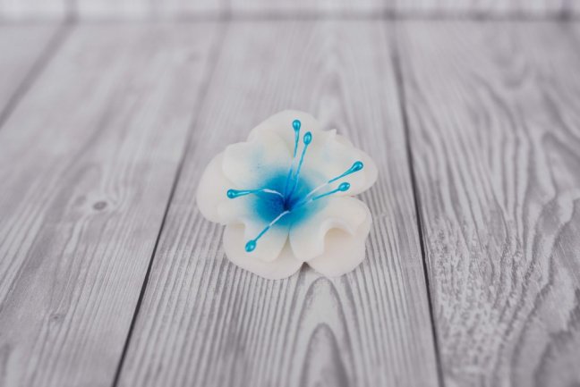 Květ z modelovací  hmoty - magnolie - bílo/modrá 1 Ks