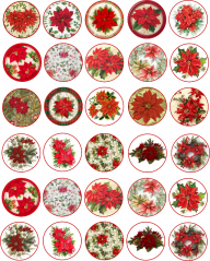 Jedlé obrázky na cupcakes - vánoční hvězdy - 3,5 cm