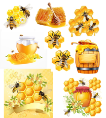 Jedlé obrázky - Včelařství