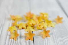Kvítka z jedlého papíru drobná -  oranžová - 30 ks