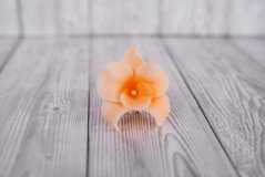 Květ z modelovací  hmoty - orchidej - světle oranžová