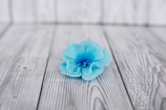 Květ z modelovací fondánové hmoty  - magnolie - světle modrá